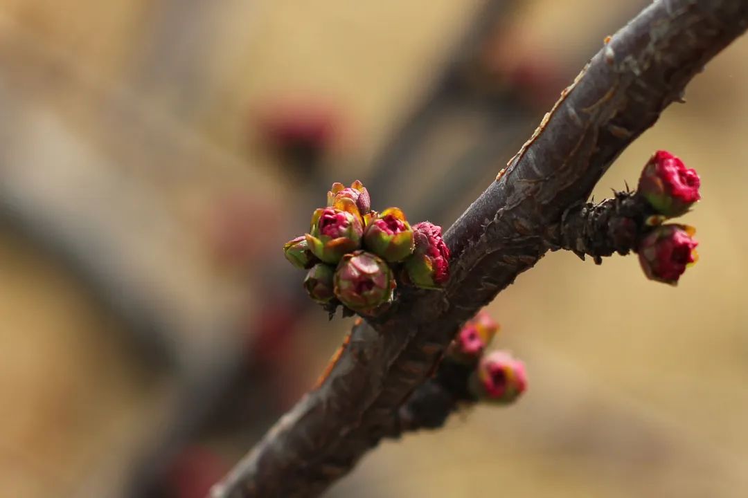 asiagame(中国区)官方网站