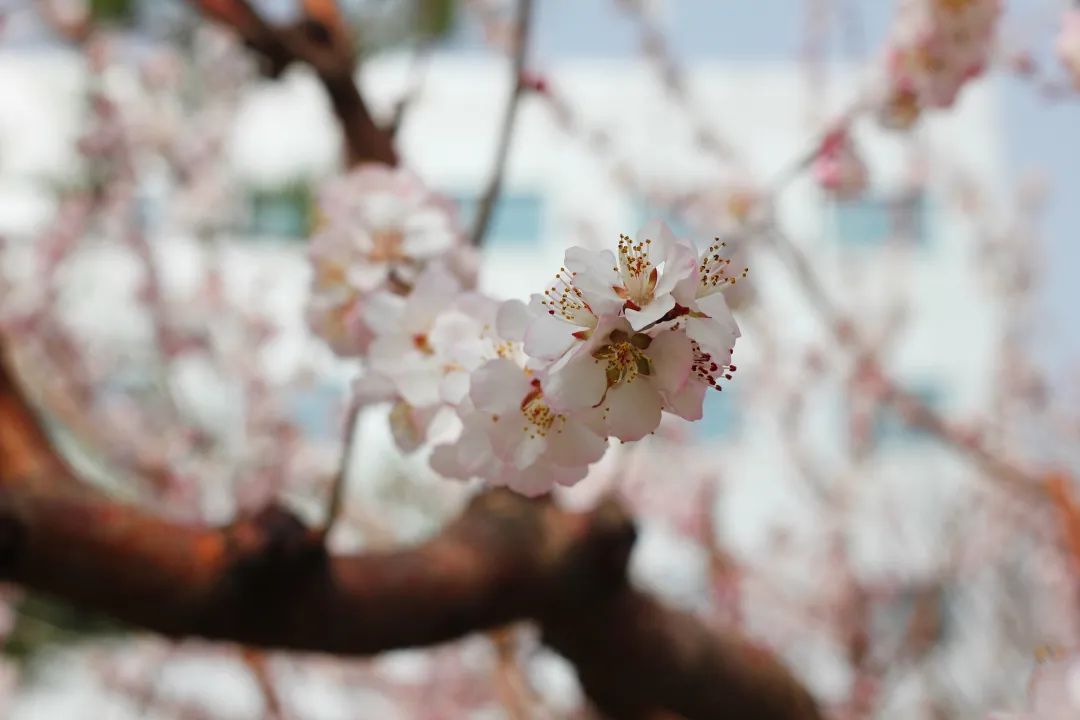 asiagame(中国区)官方网站