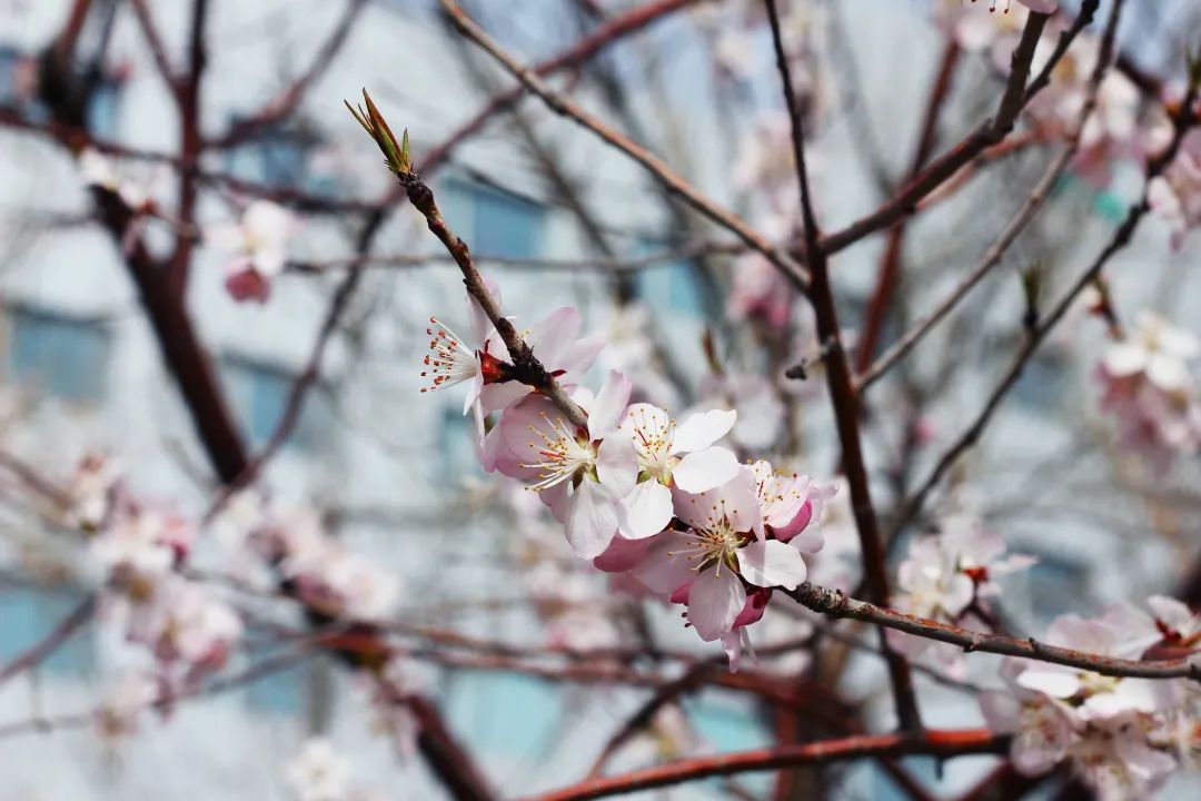 asiagame(中国区)官方网站