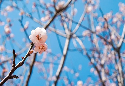 asiagame(中国区)官方网站